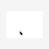 Flybug's Photo